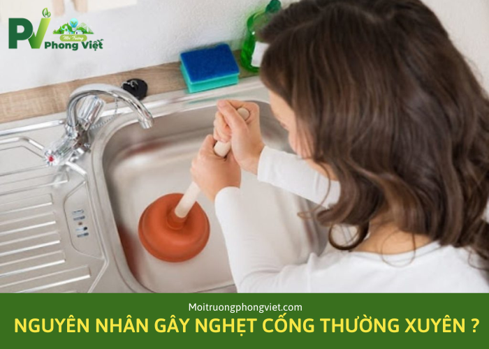 Nguyên nhân nào dẫn đến bị nghẹt cống ?