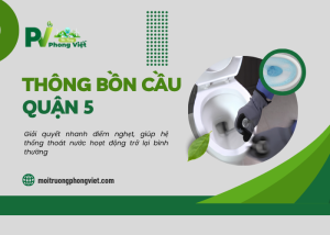 Dịch vụ thông bồn cầu Quận 5 tại Phong Việt